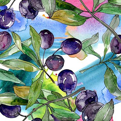 Watercolor plums on branches