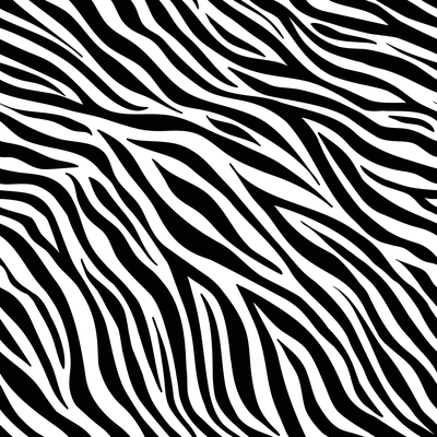 Black & White Zebra Pattern