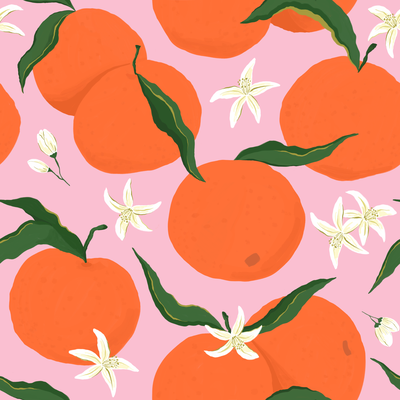 Oranges on a pink background