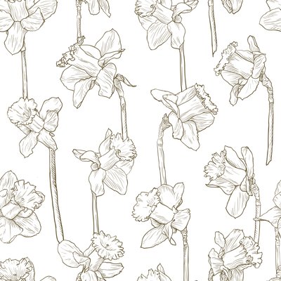 Daffodil pencil line art